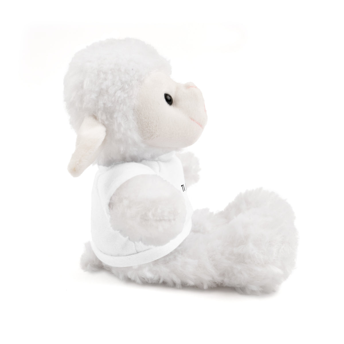 Peluche Personalizzabile con Maglietta – Un Regalo Morbido e Unico
