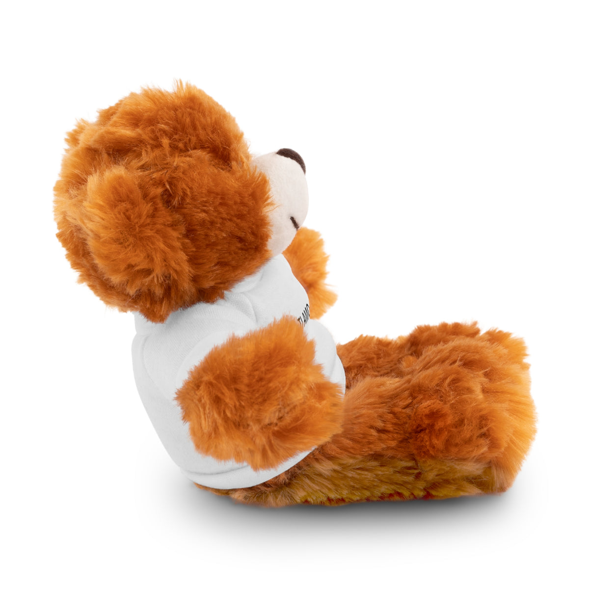 Peluche Personalizzabile con Maglietta – Un Regalo Morbido e Unico